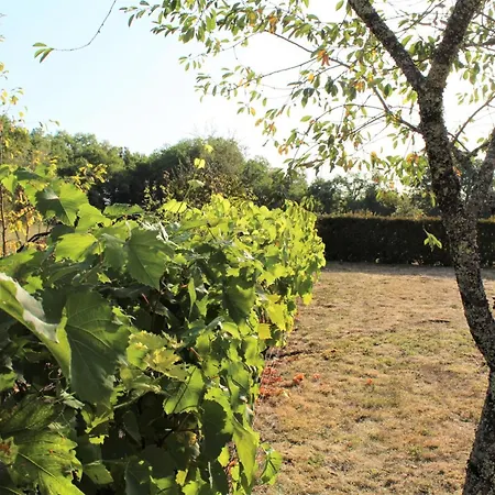 Avec 3 Chambres, Wifi, Terrasse, Proche Sites Touristiques, Animaux Acceptes - Fr-1-616-138 Holiday home *
