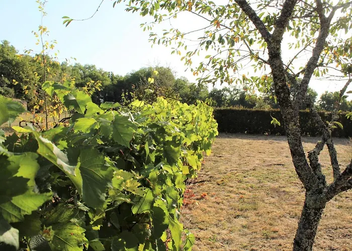 Avec Wifi Pres De Thenon, 3 - Fr-1-616-138 *